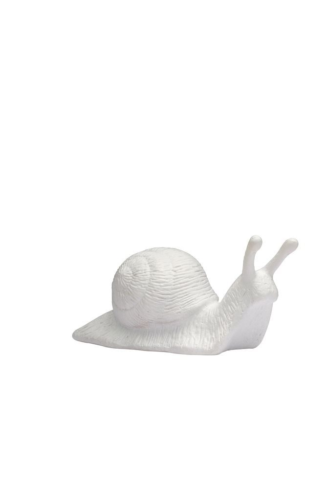 Avantgarde Schnecke, weiß