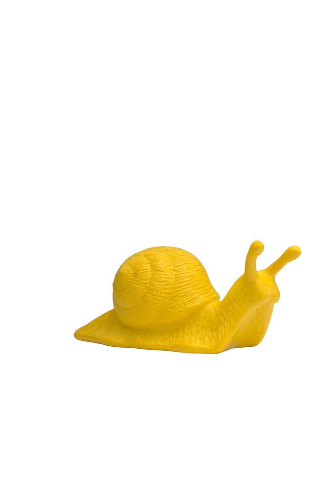 Avantgarde Schnecke, gelb