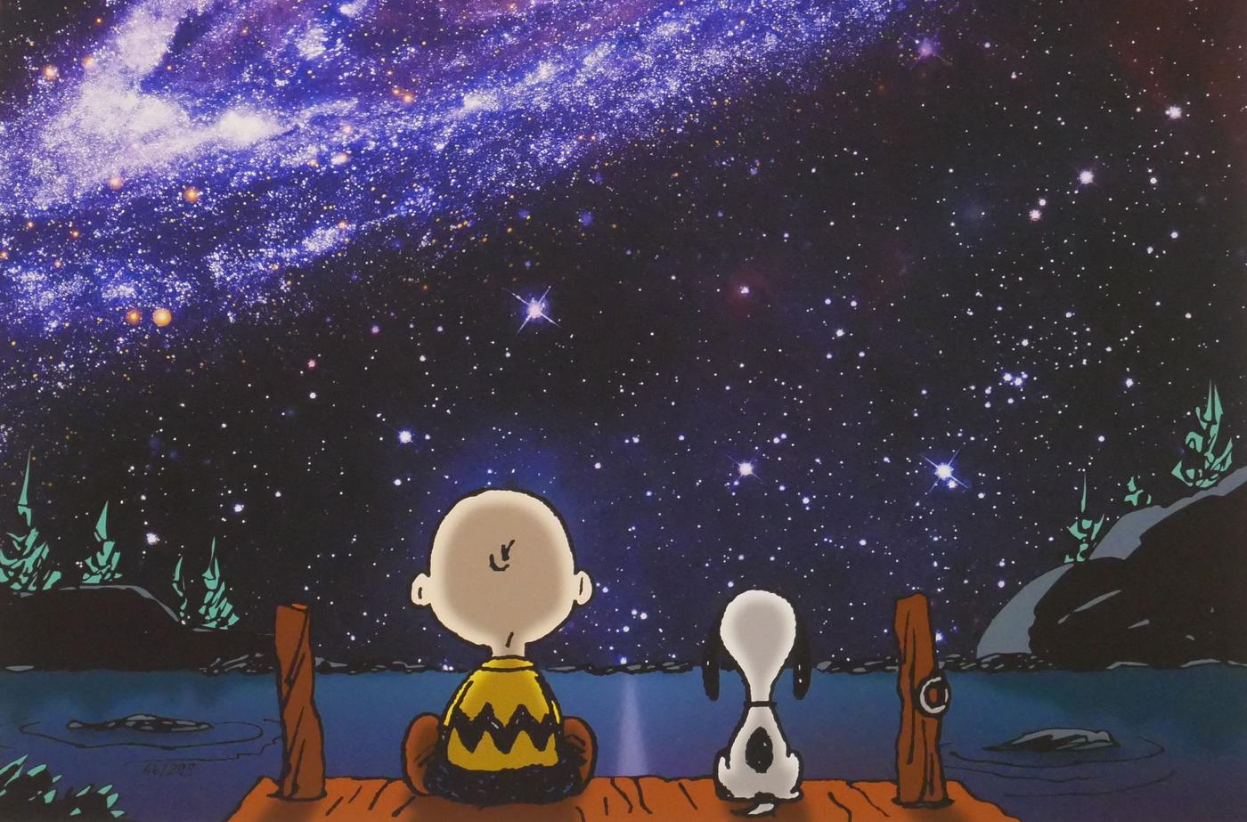 Charly Brown und Snoopy betrachten Andromeda