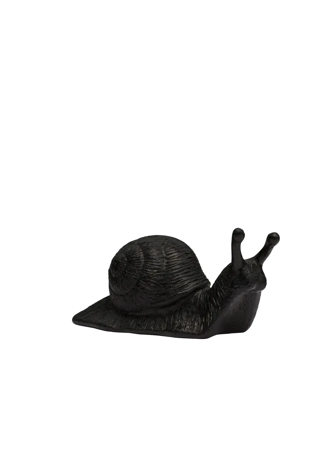 Avantgarde Schnecke, schwarz
