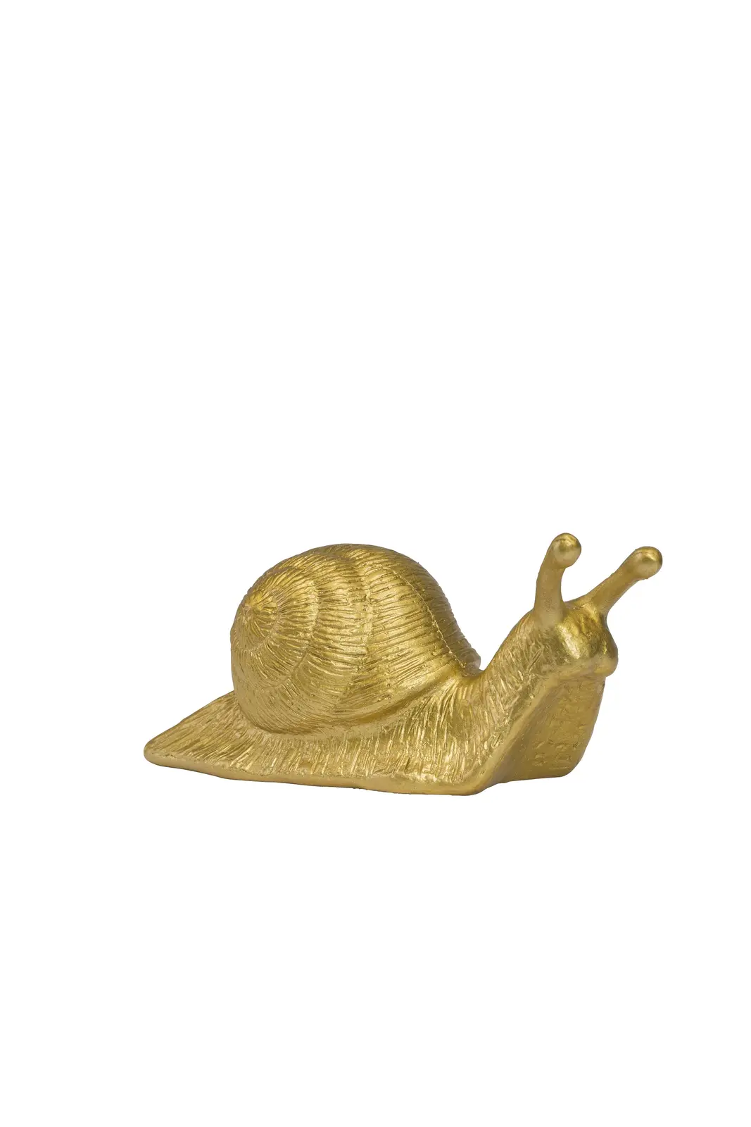 Avantgarde Schnecke, gold